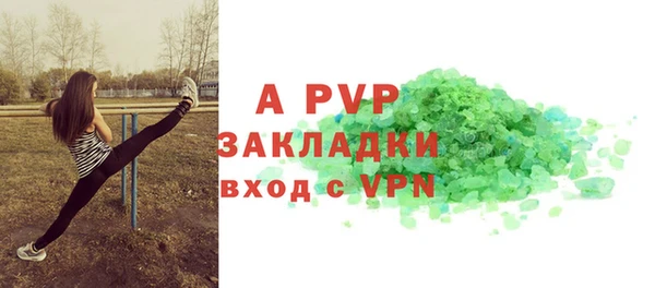 СК Алексин