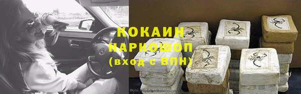 СК Алексин