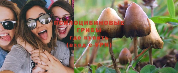 стафф Алексеевка