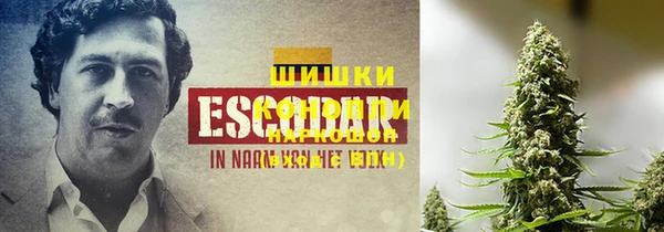 бошки Алзамай