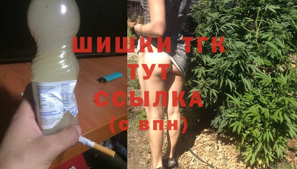 СК Алексин