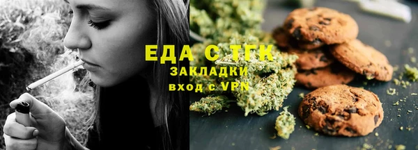 СК Алексин