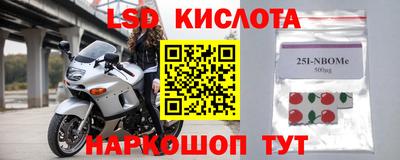 прущие грибы Краснодар
