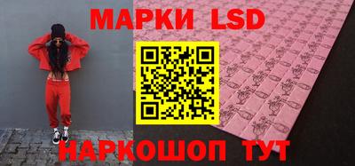 прущие грибы Краснодар