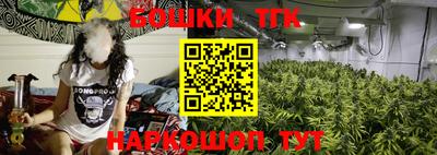 прущие грибы Краснодар