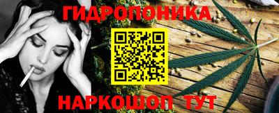 прущие грибы Краснодар