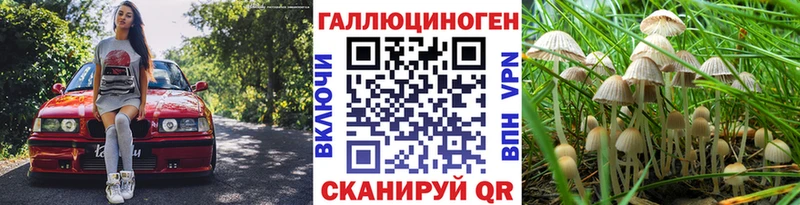 Галлюциногенные грибы GOLDEN TEACHER кракен сайт Дубна магазин продажи наркотиков