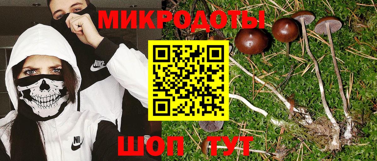 Галлюциногенные грибы прущие грибы  Вход с VPN  Галлюциногенные грибы мухоморы  Дубна 